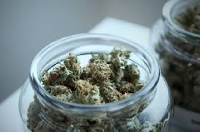Blueberry Kush