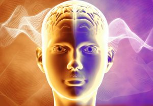 Neuroscience In Medical Field